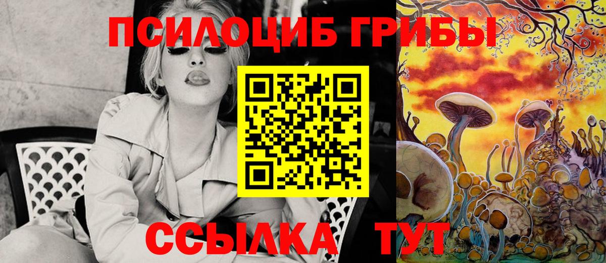 Галлюциногенные грибы Cubensis Большой Камень