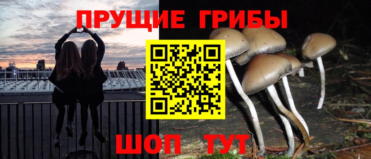 Большой Камень  Галлюциногенные грибы прущие грибы  Вход с VPN 